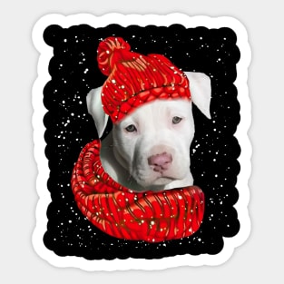 Staffordshire Bull Terrier Wearing Red Hat And Scarf In Snow Sticker